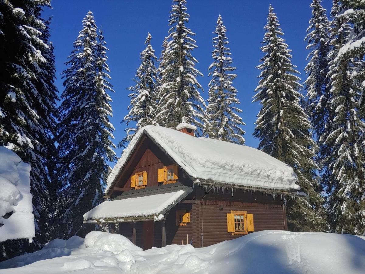 Villa Pokljuka Згорнье-Горье Экстерьер фото