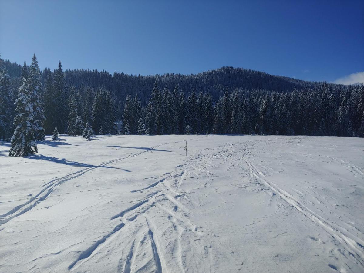 Villa Pokljuka Згорнье-Горье Экстерьер фото
