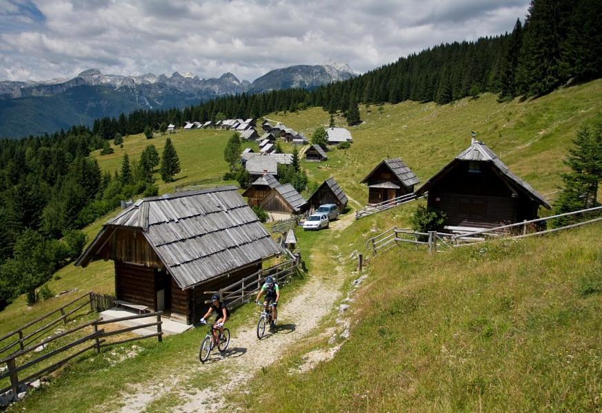 Villa Pokljuka Згорнье-Горье Экстерьер фото