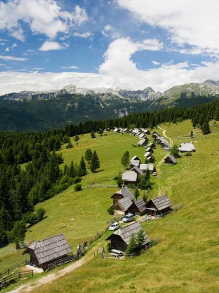 Villa Pokljuka Згорнье-Горье Экстерьер фото