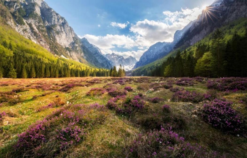 Villa Pokljuka Згорнье-Горье Экстерьер фото