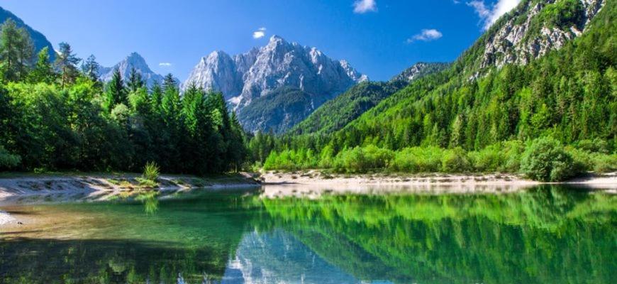 Villa Pokljuka Згорнье-Горье Экстерьер фото