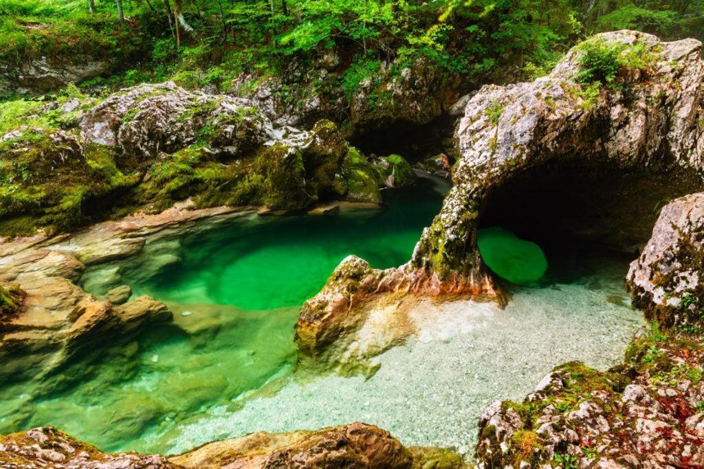 Villa Pokljuka Згорнье-Горье Экстерьер фото