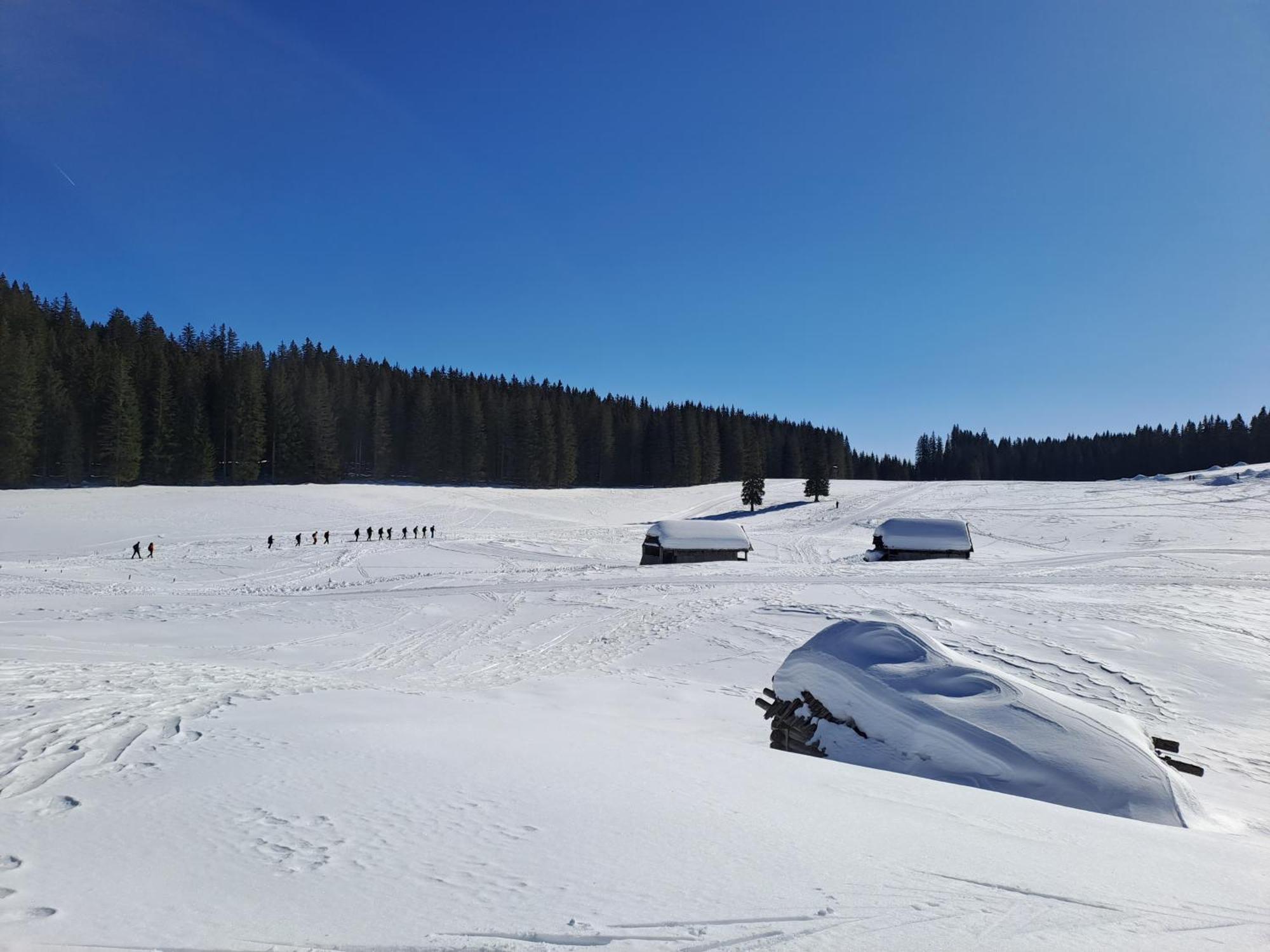 Villa Pokljuka Згорнье-Горье Экстерьер фото