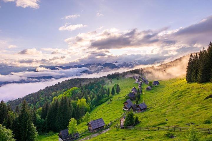 Villa Pokljuka Згорнье-Горье Экстерьер фото