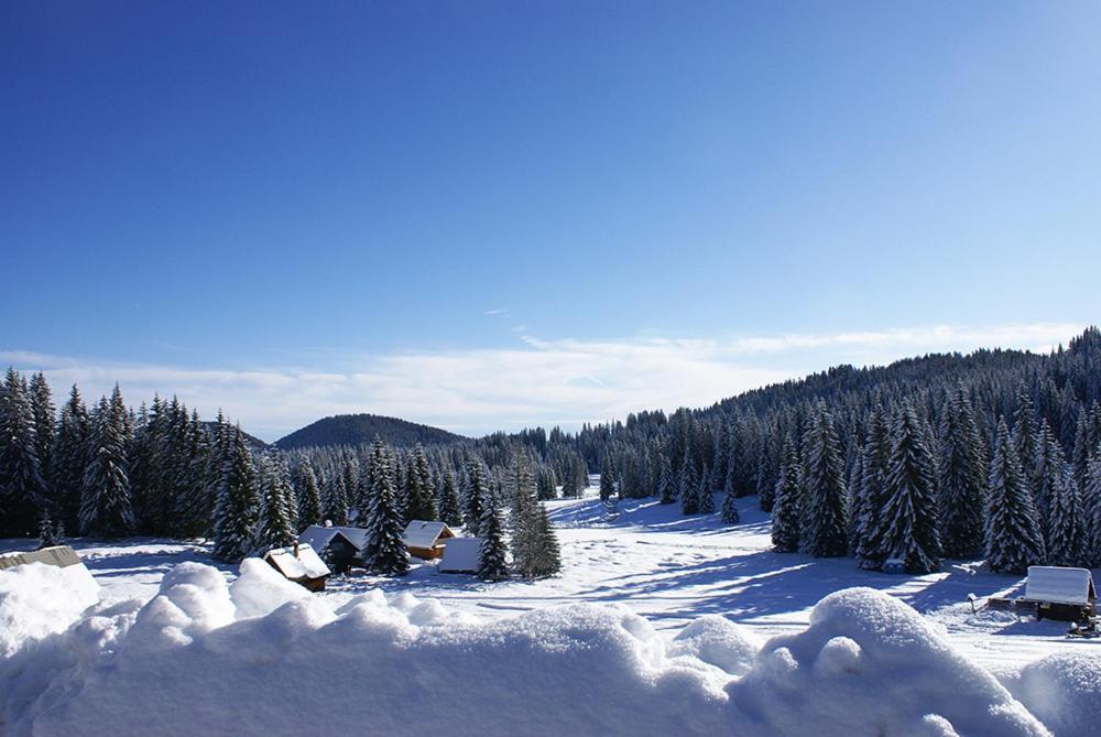 Villa Pokljuka Згорнье-Горье Экстерьер фото